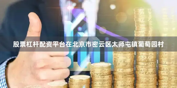 股票杠杆配资平台在北京市密云区太师屯镇葡萄园村